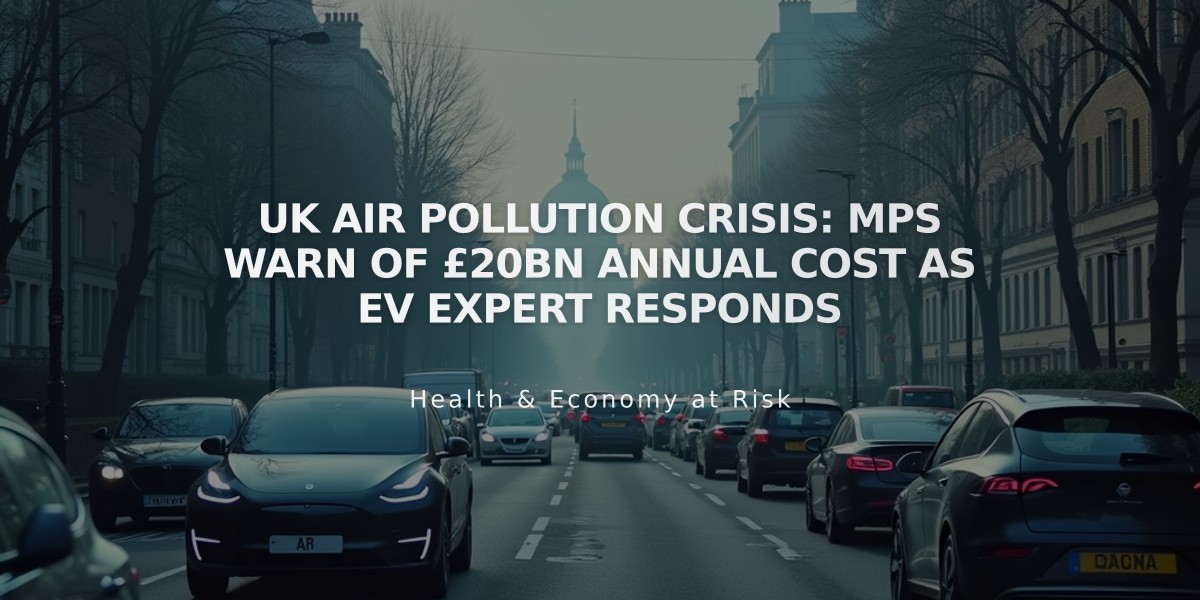 UK Air Pollution Crisis: MPs Warn of £20bn Annual Cost as EV Expert Responds