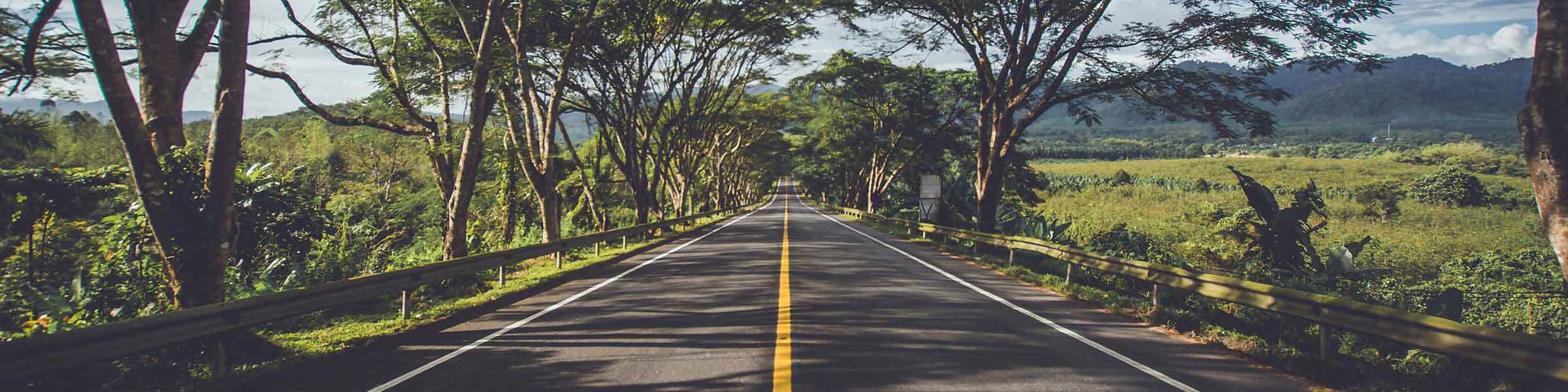 Mountain road with trees