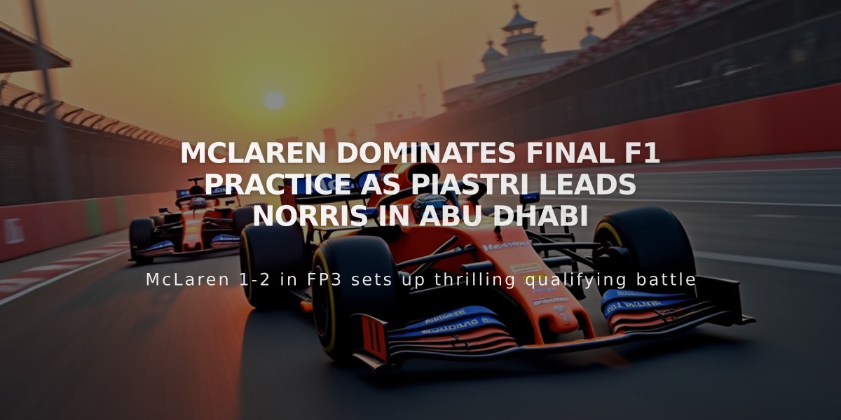 McLaren dominates final F1 practice as Piastri leads Norris in Abu Dhabi